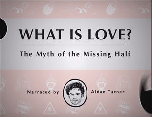 The Myth of the Missing Half